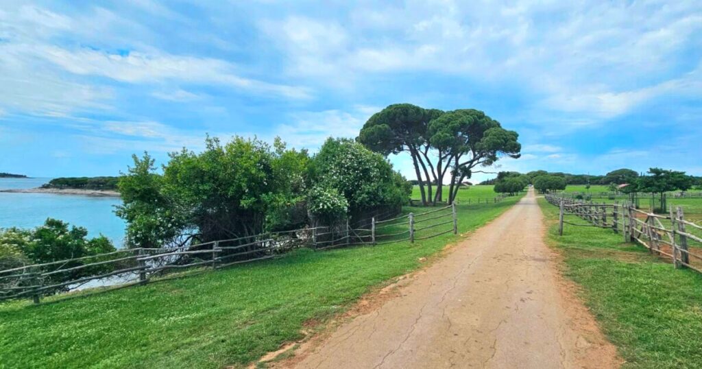 Brijuni, Turistička prizma