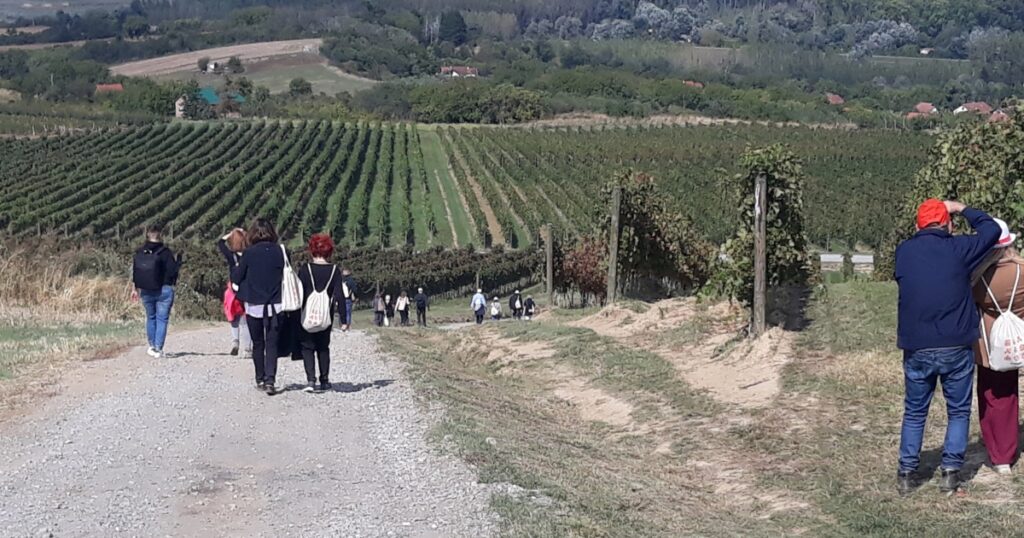 Walk & Wine - Sremski Karlovci, Srbija