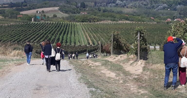 Walk & Wine - Sremski Karlovci, Srbija