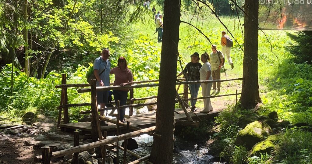 Borove šume i brojni izvori na planini Pirin - Bugarska