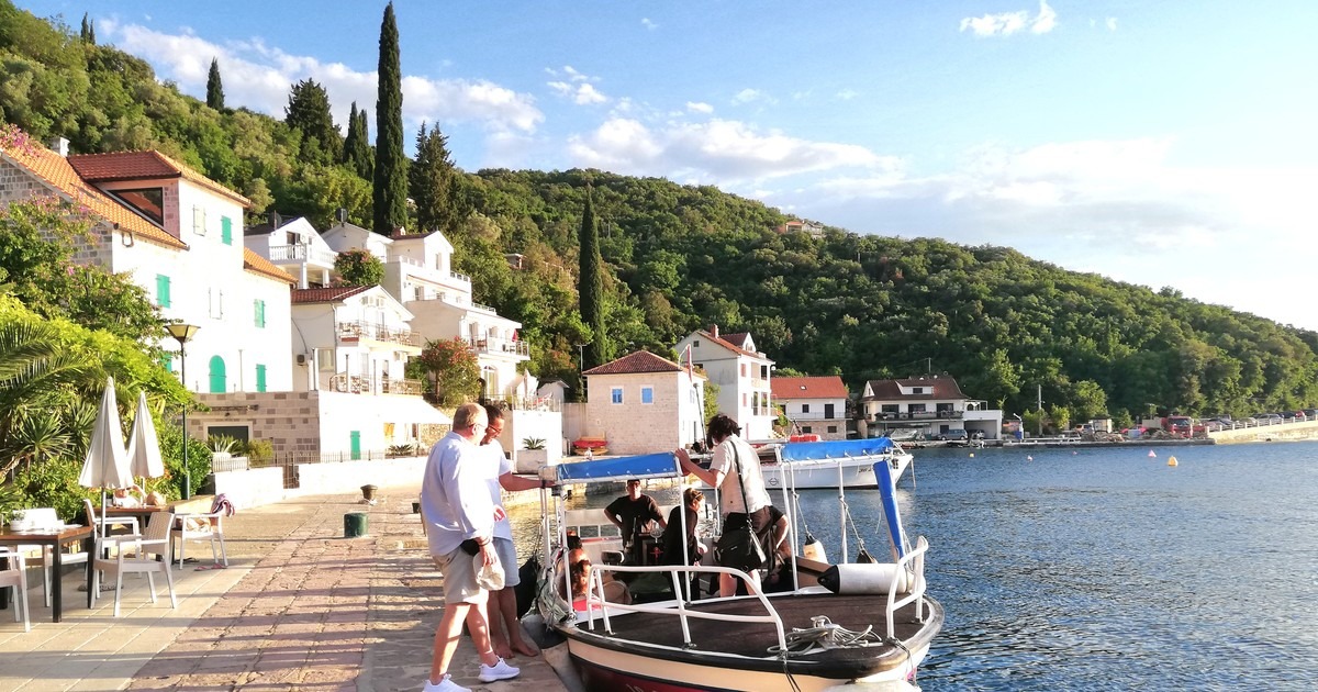 Zeleno-plava oaza naspram Hereg Novog, Rose - Crna Gora